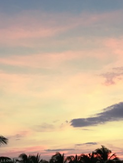 louiseowenphotography:   pink sky