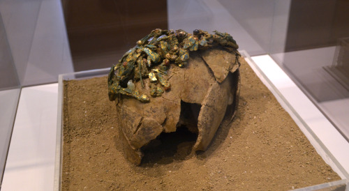 greek-museums: Archaeological Museum of Patra: Four crowned skulls of two little girls, and two women, from the North Cemetery in Patras, from the Hellenistic Period.   The first skull bears a wreath of gilded myrtle fruits. The deceased wore golden