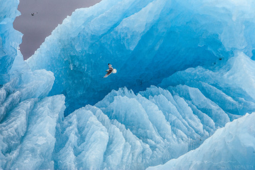 A stunning iceberg in Svalbard, Norway.Iceberg, SvalbardSvalbard is a small archipelago whose climat