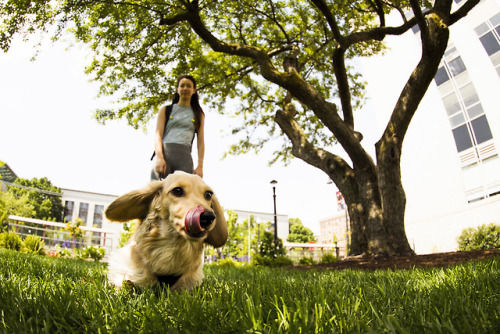 A selection of my top images shot for the Marketing and Communications office at Northeastern Univer