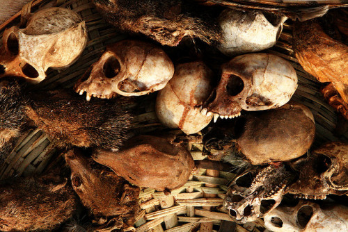 juliettejardin: Voodoo Skulls by AdamCohn on Flickr.