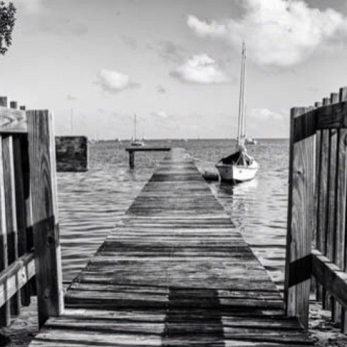 This was taken at Barnacle historic state park in Coconut Grove #miami #florida #historic #coconutgr