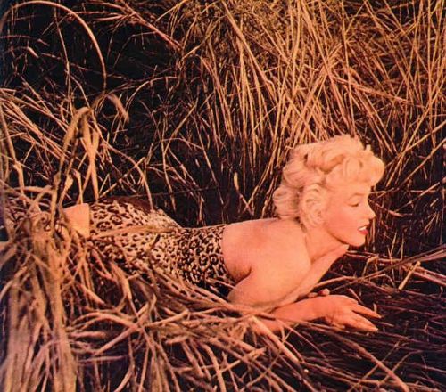 loutigergirl99:  Marilyn Monroe by Eve Arnold porn pictures