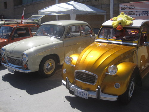 Display of Communist era cars common in Poland in the 1980s (except that golden “duck”), during Miss