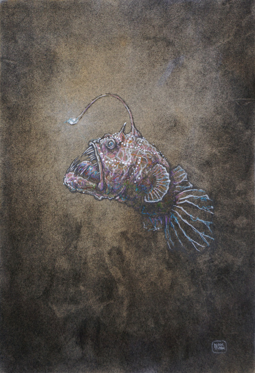 Anglerfish (10″x 14″) [SOLD]