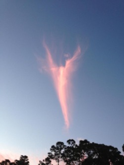 collapsed:  “Angel Cloud” over Royal