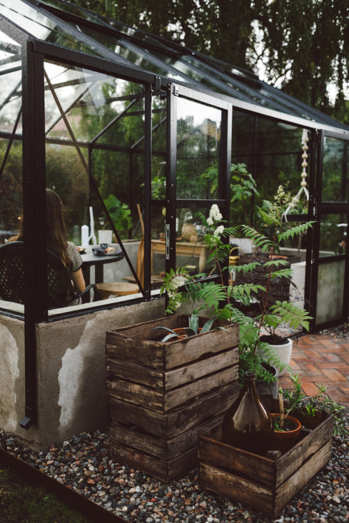peone: Babes in Boyland