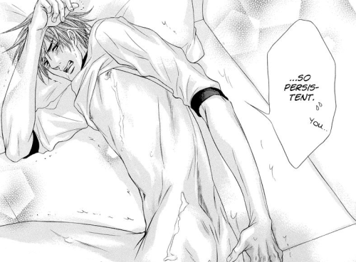 Yaoi Addiction...