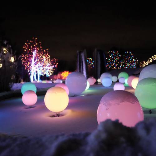 12 balls of glowing&hellip; #balls #xmas #botanicalgardens #denver (at Denver Botanic Gardens)