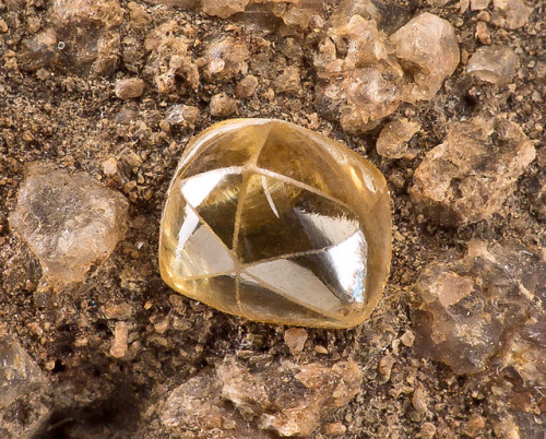 hematitehearts:*Major Rarity*Brilliant yellow Diamond set atop matrixLocality: Northern Province, Si