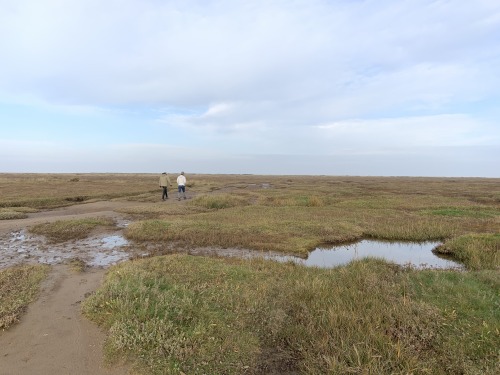 Brothers walking on the marshes