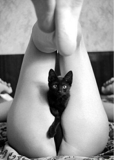 tumblr photo prettycocokitty 14