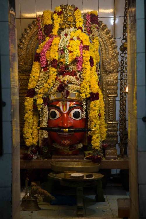 Aravan’s head is worshipped at Koothandavar temple, he is given a temporary body when placed on the 