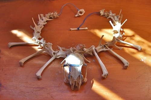 Bone and shell necklaces made using found objects. 