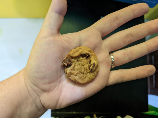 strongermonster:strongermonster:i taught a baking class for 12 year olds today and we made your garden variety chocolate chip cookies, but i’m a big believer in Questioning Everything and the who/what/where/why/when/how behind things, so the first part