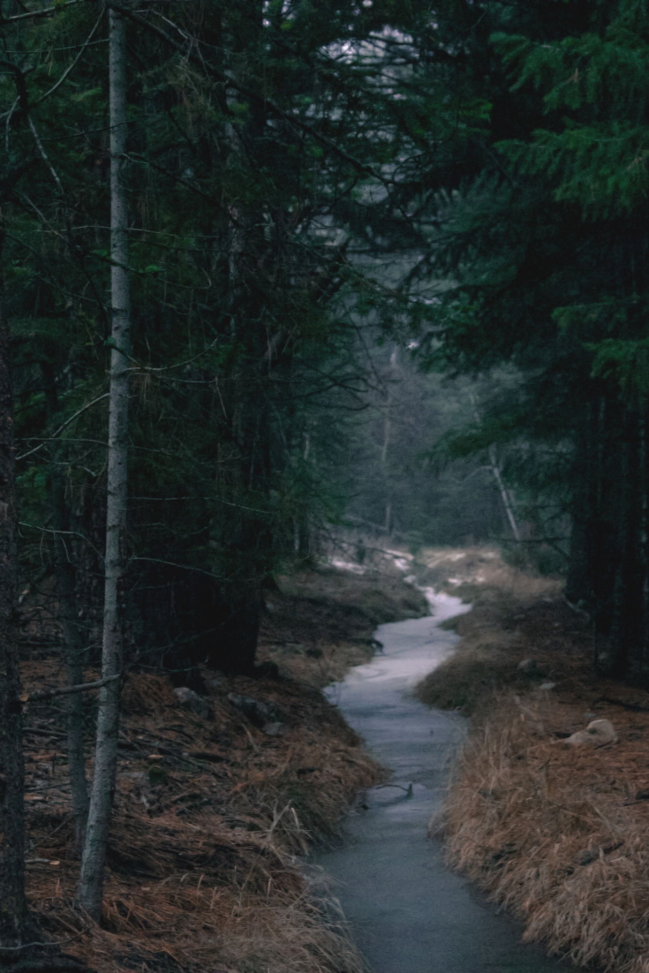 jrxdn:  Stream