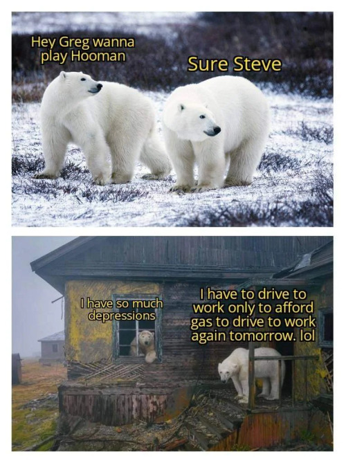 Ha!First Time I Saw Animals Talking About "Hooman" Those Were Polar Bears. "Wanna Play Hooman?" And Then