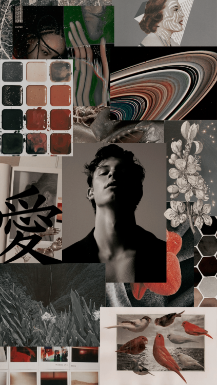 shawn mendes lockscreens