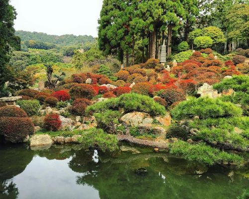 長楽寺庭園“満天星の庭” [ 静岡県浜松市 ] Choraku-ji Temple Garden, Hamamatsu, Shizuoka ーー #小堀遠州 作庭の“遠州三名園”の一つ。無数のドウダン