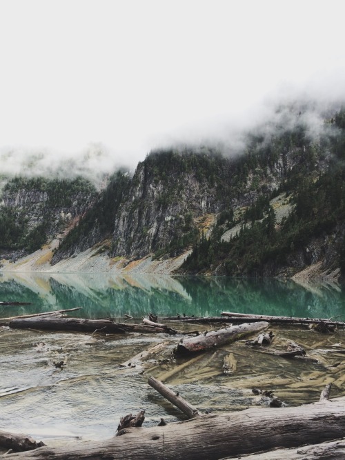 danielodowd:  blakelybrowne
