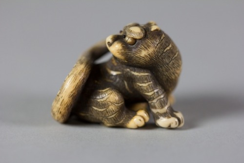 artistsanimals:Title: TigerArtist: RakuOrigin: JapanDate: late 18th centuryMedium: IvorySize: H. 1 3