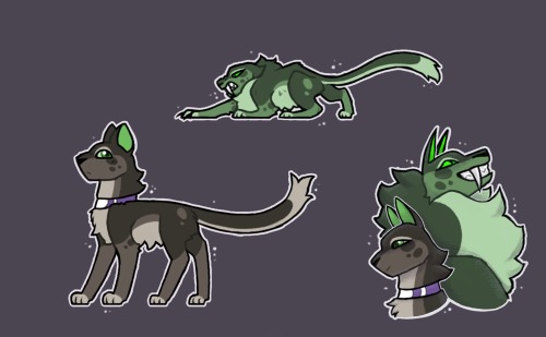 My Mccu Designs!