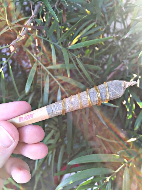 lustingmoon:  rainbow joint 🌈👅