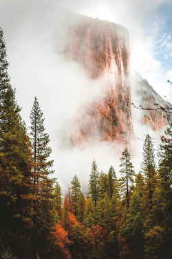havingagoodvibes:  lsleofskye:  Up in the