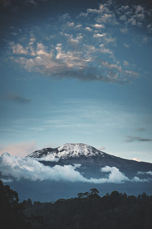 ikwt:Kilimanjaro Mist (Wolfgang Burger) | instagram