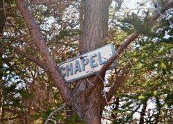 daisygraves:chapel forest