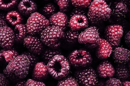 berries are just awesome. straw, blue, black, rasp&hellip;.fucking great