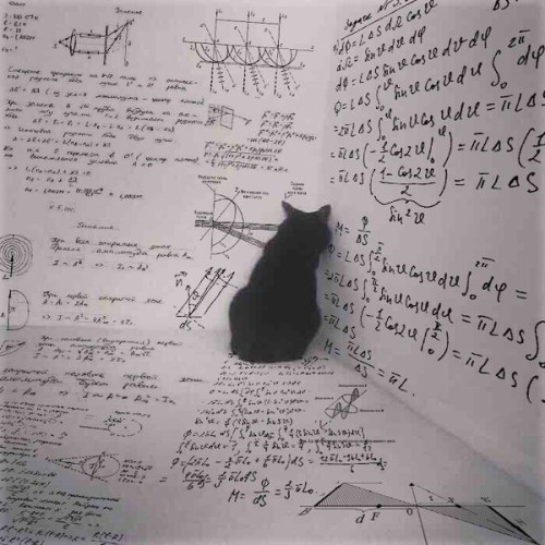 cafeinevitable:Meanwhile, inside the box, Schrödinger’s cat plans its revenge.- Richard Feynman