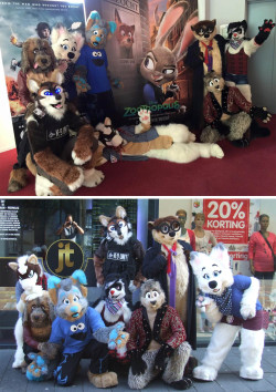 nlorier:  Wednesday we were in a cinema in Eindhoven for the première of Zootopia! It was a awesome day with friends c: Also happy Fursuitfriday! Mika owned by nlorier / First photo @ Thabo Meerkat / Second photo @ Rudolf Meijer / Fursuits and characters