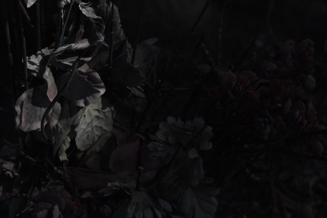wytchphotos:  Flowers for the Dead | 13th of May, 2016 