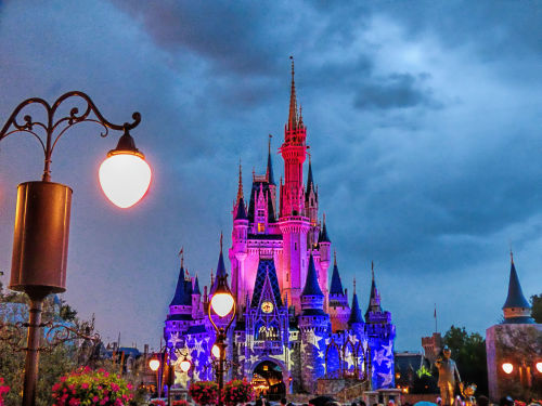 magicalfanaticism:    Cinderella Castle on porn pictures