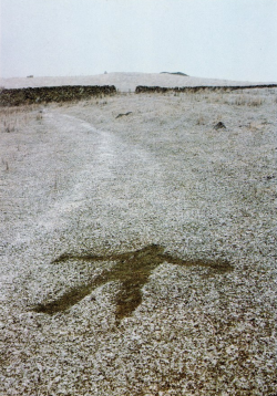 atavus:  Andy Goldsworthy at Tewet Tarn, Cumbria 1988