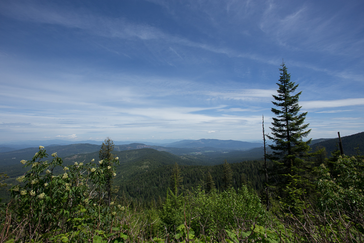 lobo-de-luna:  Adventures around Mt Spokane.Part 1