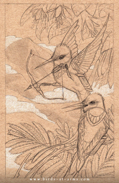 My first sketch of two humming bird archers from Birds at Arms!