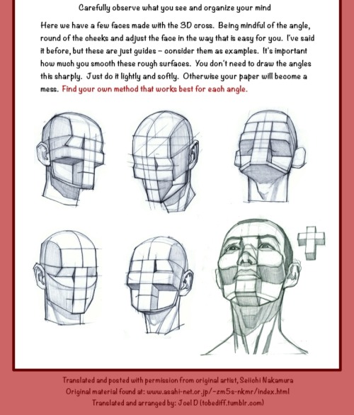 tobediff:More of the same! I have begun working on a new tutorial; once all of drawing the head ha