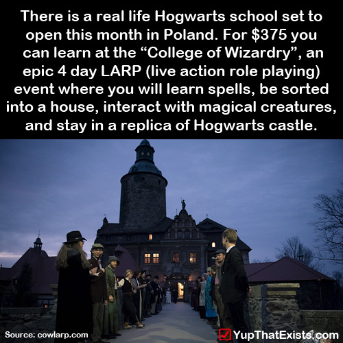 seen-as-stars:yup-that-exists:There is a real life Hogwarts opening this month in Poland… @oliviabow