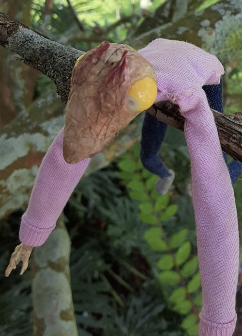 Lizard In A Tree. Natural Habitat