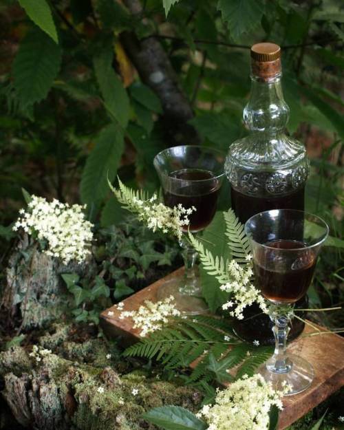 therealmofyavanna:Mirkwood Elderflower Cordial  In a forest clearing lit cheerily by torches and the