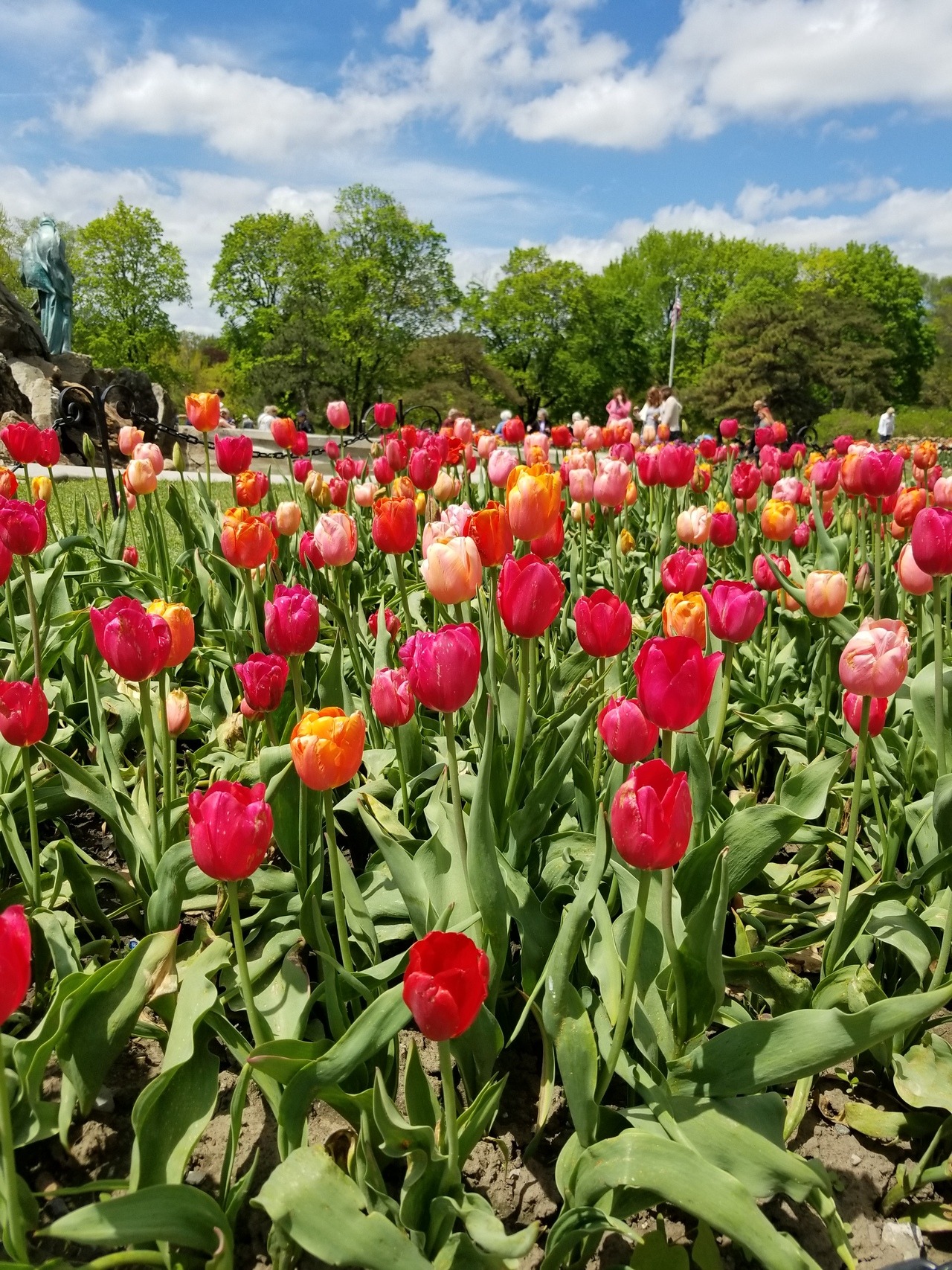 Beautiful day in the park with my love, @celticknot65 tip-toeing through the tulips!
