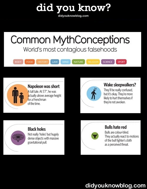 did-you-kno:52 Facts People Always Get Wrong This useful chart is color-coded by category and sized relative to how popular each question is on Google.  Read All 52/Source