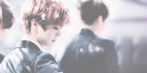EXO Pale Headers