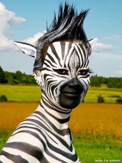 fetishpets:  oh I do love Zebras!