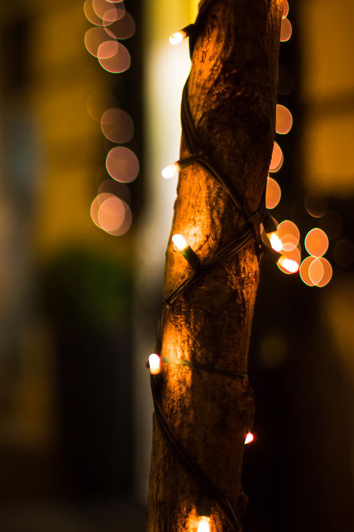 earthyday:Christmas Lights © Boris Kačan