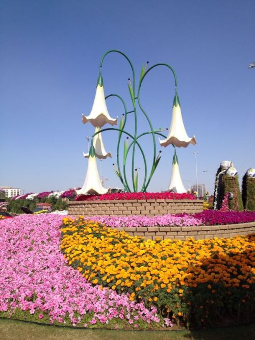 Miracle Gardens Dubai