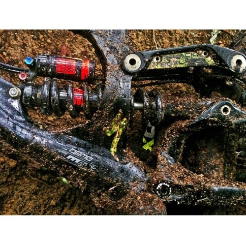 blackboxlabs:  Heavy Loam collection today @coastgravityprk with the boys #specialized #rockshox #bl
