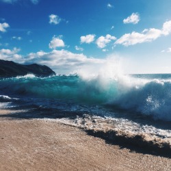 the-ocean-paradise:  jayalvarrez:  west side @jayalvarrez 💦💙🌴  sunkissed &amp; sandy 